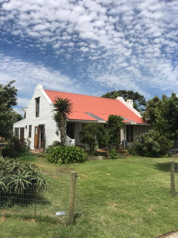 Hermanus Whale Cottage Ngoại thất bức ảnh
