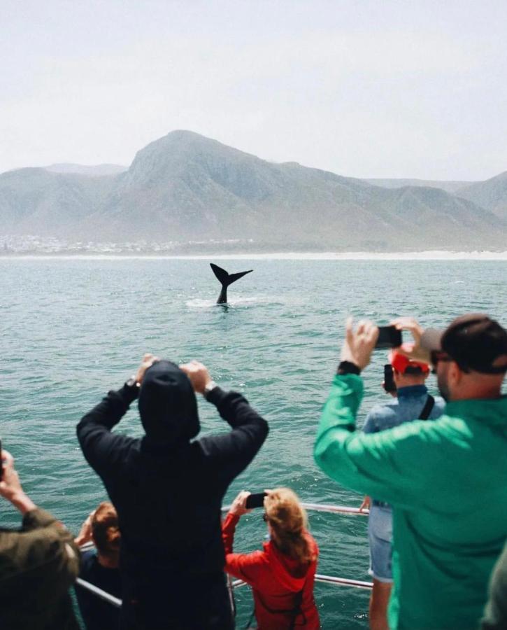 Hermanus Whale Cottage Ngoại thất bức ảnh